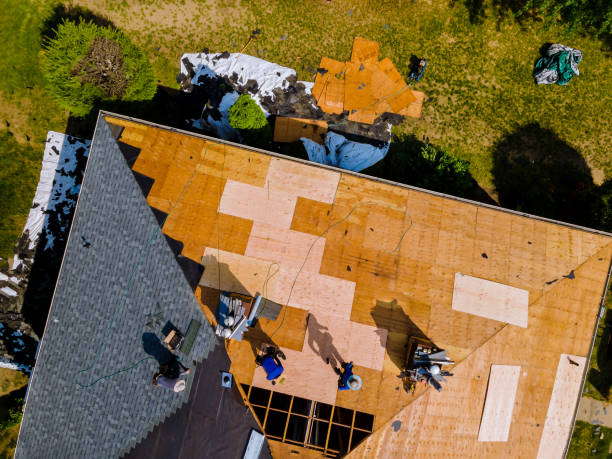 Best Slate Roofing Contractor  in Erin, TN