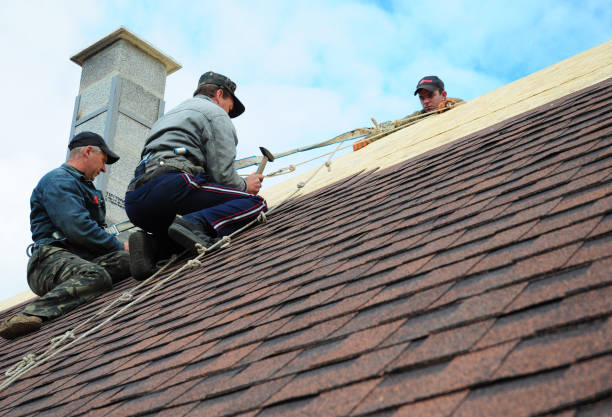 Best Residential Roofing Contractor  in Erin, TN