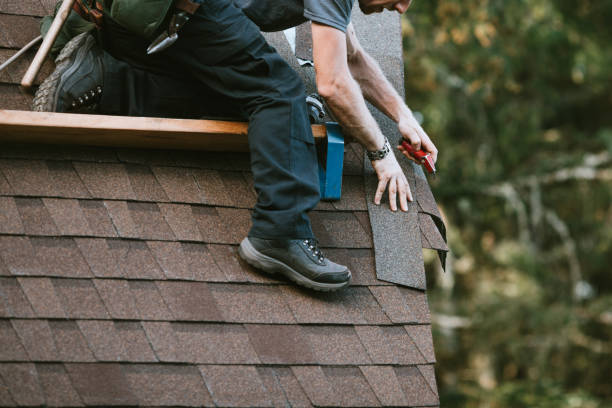 Best New Roof Installation  in Erin, TN