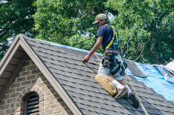 Trusted Erin, TN Roofing Contractor Experts
