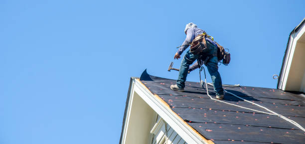 Best Gutter Installation and Roofing  in Erin, TN